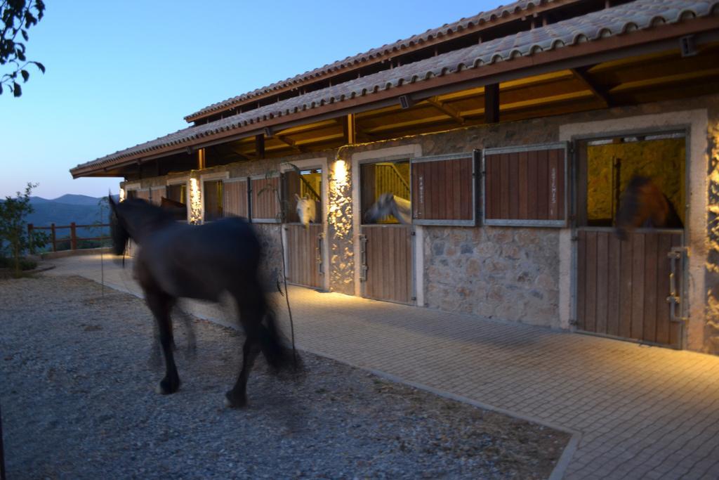 Country Hotel Velani Avdou Extérieur photo