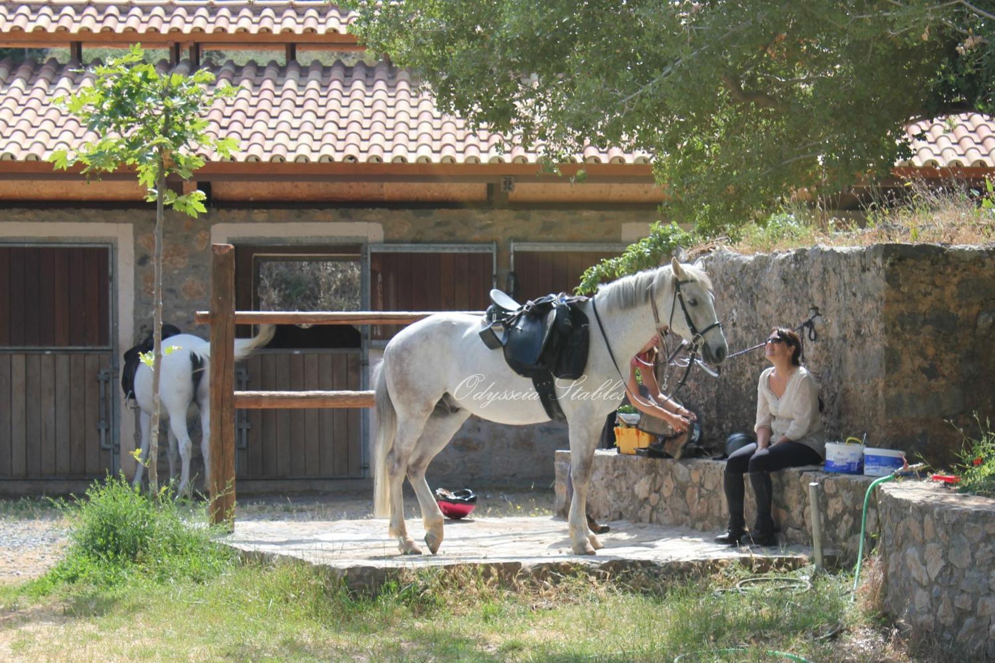 Country Hotel Velani Avdou Extérieur photo